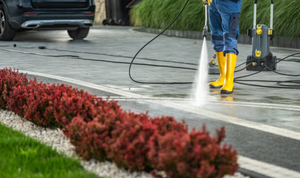 Best Sidewalk and Walkway Cleaning  in South Bay, FL